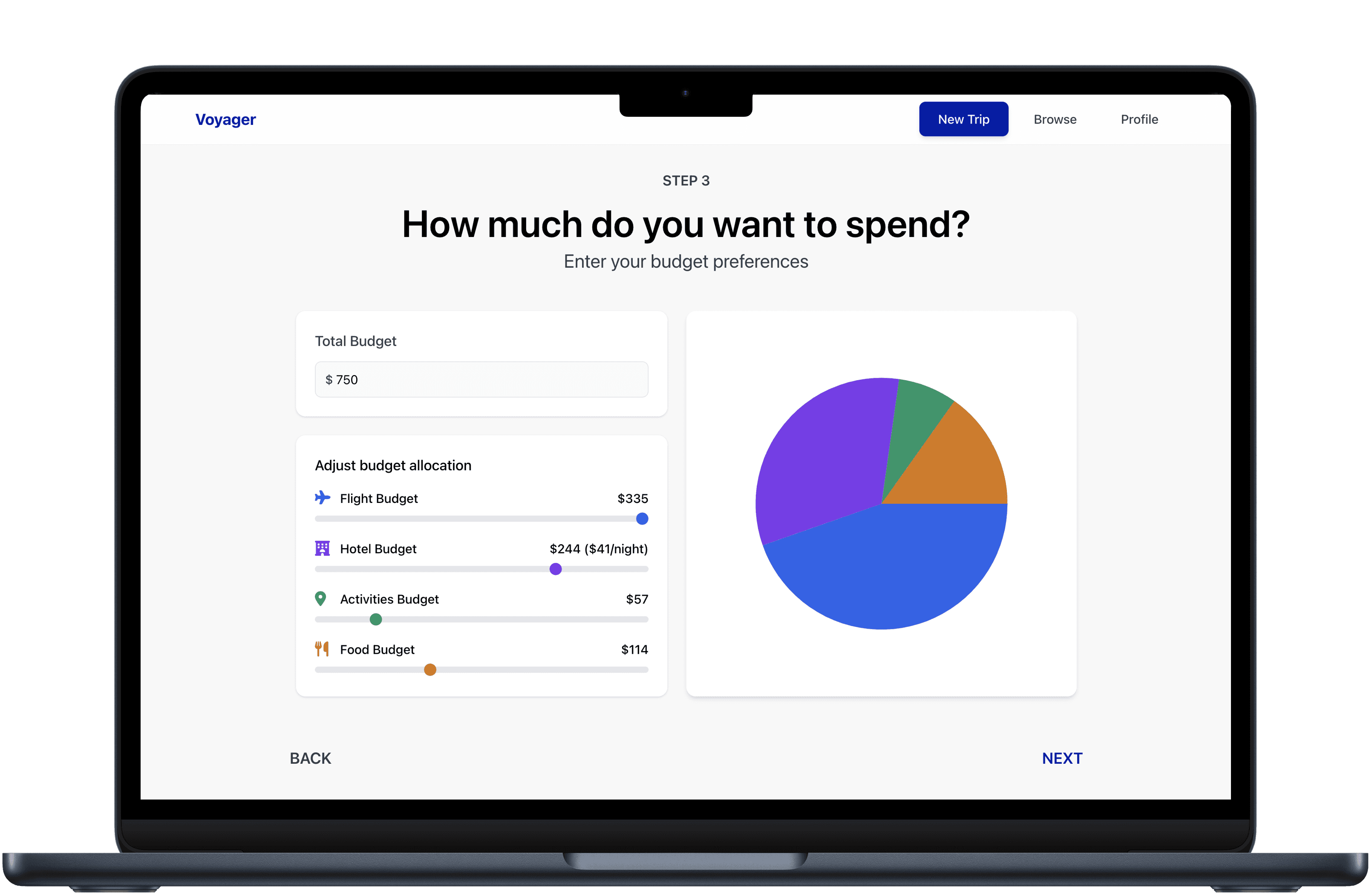 Budget tracking interface